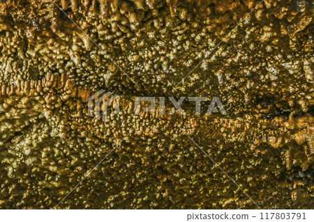 蜂巢天堂內的郡上八幡/大瀧溶洞 117803791