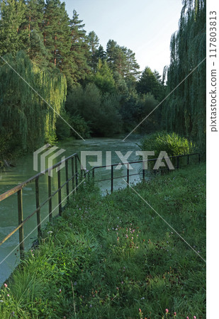 Water lake in park with green plants, trees. Nature and lifestyle. Ecology in Europe.  117803813