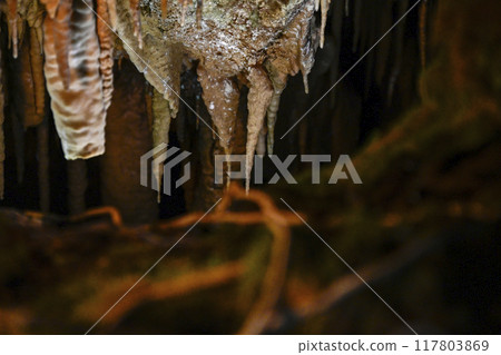 Inside the Otaki Cave in Gujo Hachiman 117803869
