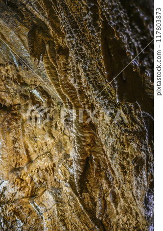 郡上八幡/大瀧石灰岩洞窟內內部 117803873