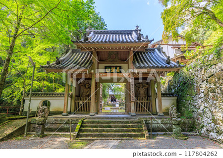 瀑布觀音（長崎縣長崎市） 117804262