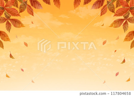 Autumn frame background, trees and fallen leaves, sunset Autumn frame background, trees and fallen leaves, sunset 117804658