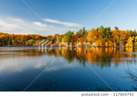 Autumn forest reflected on Moulin Lake (Lac du Moulin). Mont-Saint-Bruno National Park, Saint-Bruno-de-Montarville, Quebec, Canada. Fall foliage color. 117804742