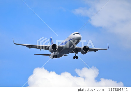 客機起降畫面 客機起降畫面 117804841