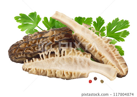 raw morel mushroom isolated on white background with full depth of field raw morel mushroom isolated on white background with full depth of field 117804874