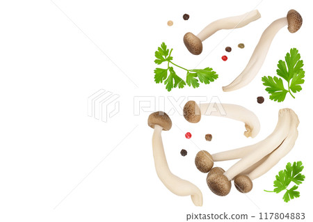 Brown beech mushrooms or Shimeji mushroom isolated on white background . Top view with copy space for your text, flat lay Brown beech mushrooms or Shimeji mushroom isolated on white background . Top view with copy space for your text, flat lay 117804883