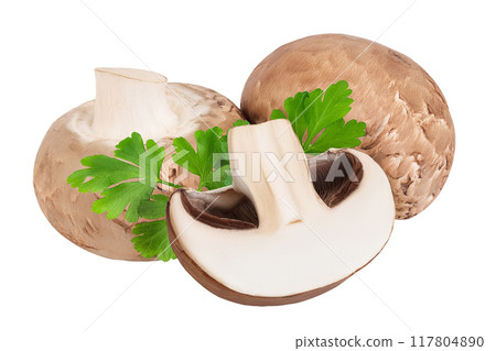 Royal Brown champignon isolated on white background full depth of field Royal Brown champignon isolated on white background full depth of field 117804890