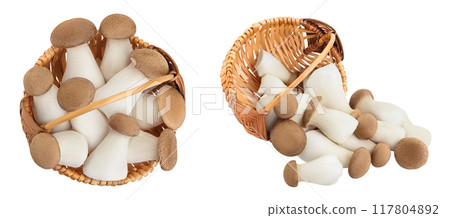 King Oyster mushroom or Eringi in wicker basket isolated on white background . Top view. Flat lay King Oyster mushroom or Eringi in wicker basket isolated on white background . Top view. Flat lay 117804892