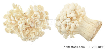 Enoki mushroom, Golden needle mushroom isolated in white background . Top view. Flat lay Enoki mushroom, Golden needle mushroom isolated in white background . Top view. Flat lay 117804893