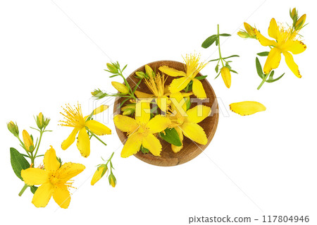saint john's wort or Hypericum flowers in wooden bowl isolated on white background. Top view. Flat lay 117804946