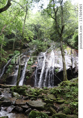 京都府宮津市金引瀑布 117804965