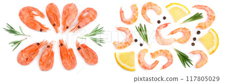Red cooked prawn or shrimp with rosemary isolated on white background. Top view. Flat lay Red cooked prawn or shrimp with rosemary isolated on white background. Top view. Flat lay 117805029
