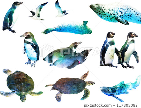 海洋生物插畫素材套裝2（企鵝等） 117805082