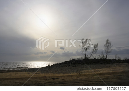 Silhouettes of birch trees against the background of the evening cloudy sky on the rocky riverbank 117805227
