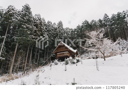 Snow cottage Snow cottage 117805240