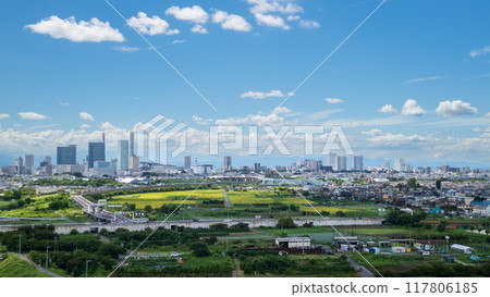 Aerial view of the Minuma rice fields under the summer sky in Saitama Prefecture, Saitama City 117806185