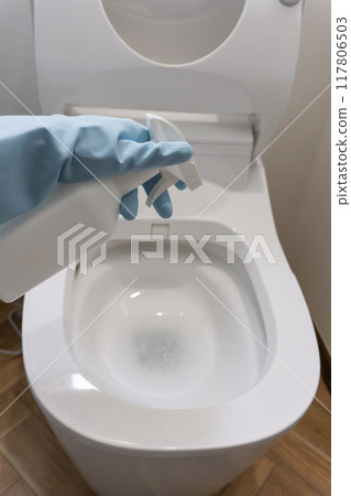 Cleaning the toilet 117806503