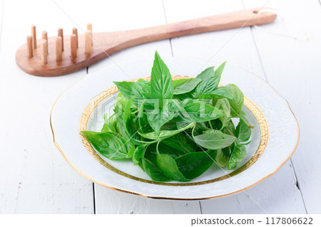 Basil on a plate 117806622