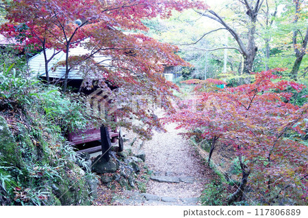 Oyama Temple Autumn leaves Oyama Temple Autumn leaves 117806889
