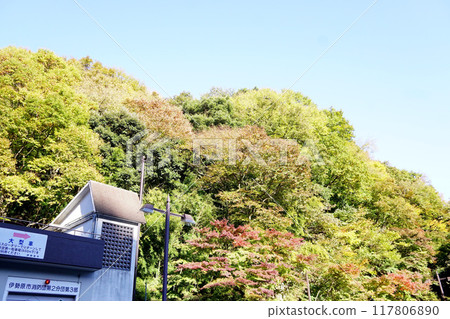Oyama autumn leaves Oyama autumn leaves 117806890