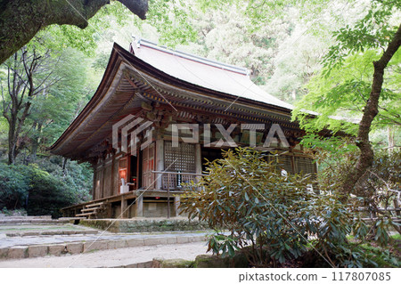 Nara Prefecture Muroji Temple, Main Hall 117807085