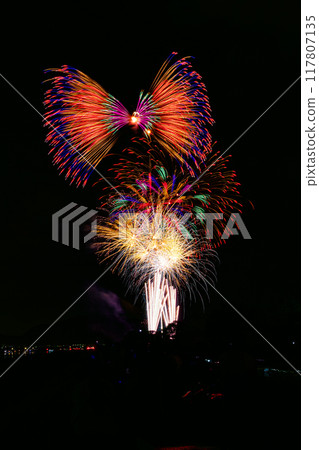 Large fireworks blooming in the night sky Large fireworks blooming in the night sky 117807135