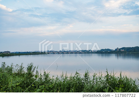 千葉縣的清晨手賀沼 千葉縣的清晨手賀沼 117807722