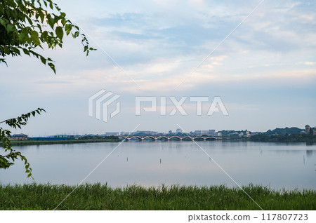千葉縣的清晨手賀沼 117807723