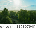 Trees with green foliage under snow. 117807945