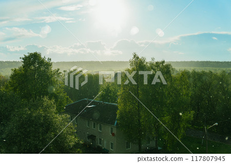 Trees with green foliage under snow. 117807945