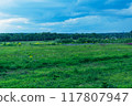 White horse stands on green meadow. 117807947