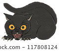 怪物貓的插圖 117808124