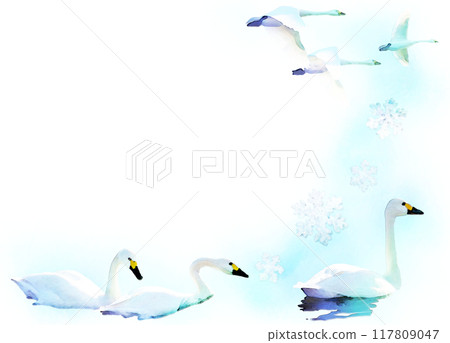 Transparent illustration frame - Winter swans and snowflakes 117809047