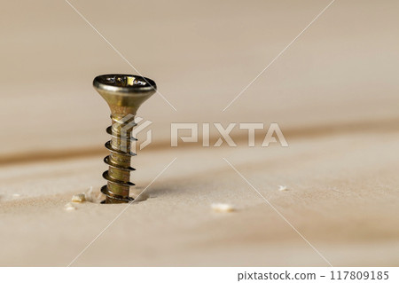 yellow metal self-tapping screws for fixing wooden boards and other wood products yellow metal self-tapping screws for fixing wooden boards and other wood products 117809185