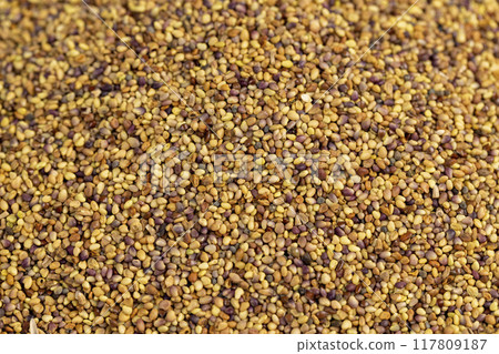 clover seeds for growing in fields clover seeds for growing in fields 117809187