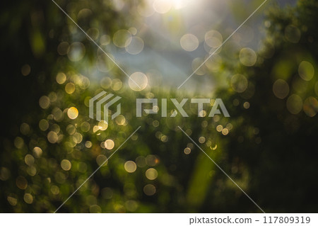 The image is a blurry The image is a blurry 117809319