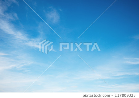 The sky is blue and clear with no clouds 117809323