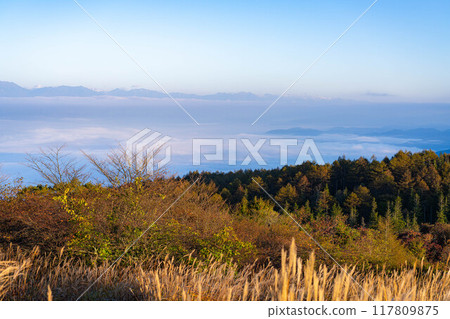 [Sea of clouds] Sea of clouds in the direction of the Northern Alps as seen from Takabocchi Plateau in autumn [Nagano Prefecture] 117809875
