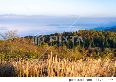 [Sea of clouds] Sea of clouds in the direction of the Northern Alps as seen from Takabocchi Plateau in autumn [Nagano Prefecture] 117809876