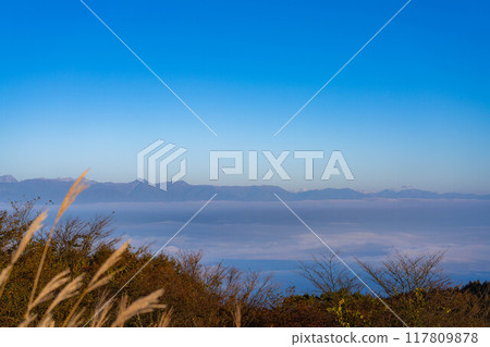 [Sea of clouds] Sea of clouds in the direction of the Northern Alps as seen from Takabocchi Plateau in autumn [Nagano Prefecture] 117809878