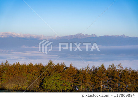 [雲海素材]秋天從高博奇高原看到的面向北阿爾卑斯山的雲海[長野縣] 117809884