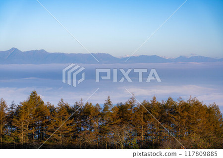 [Sea of clouds] Sea of clouds in the direction of the Northern Alps as seen from Takabocchi Plateau in autumn [Nagano Prefecture] 117809885