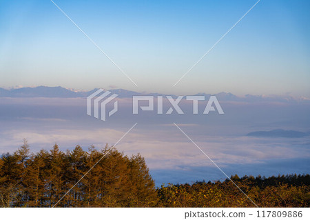 [Sea of clouds] Sea of clouds in the direction of the Northern Alps as seen from Takabocchi Plateau in autumn [Nagano Prefecture] 117809886