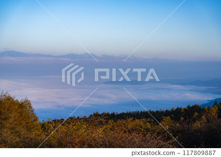 [Sea of clouds] Sea of clouds in the direction of the Northern Alps as seen from Takabocchi Plateau in autumn [Nagano Prefecture] 117809887