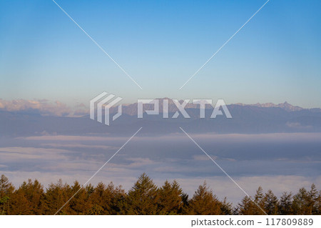 [雲海素材]秋天從高博奇高原看到的面向北阿爾卑斯山的雲海[長野縣] 117809889