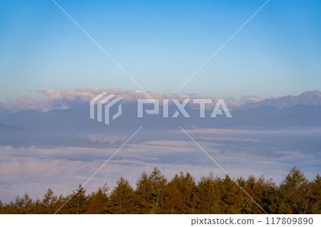 [Sea of clouds] Sea of clouds in the direction of the Northern Alps as seen from Takabocchi Plateau in autumn [Nagano Prefecture] 117809890
