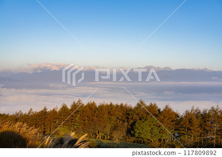 [Sea of clouds] Sea of clouds in the direction of the Northern Alps as seen from Takabocchi Plateau in autumn [Nagano Prefecture] 117809892