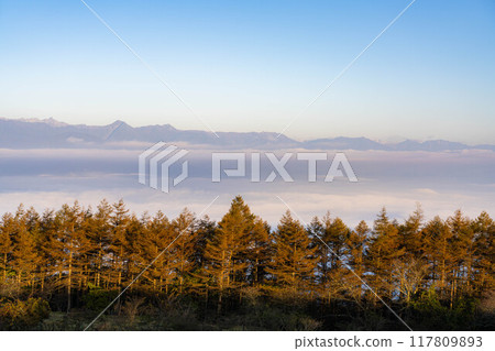 [雲海素材]秋天從高博奇高原看到的面向北阿爾卑斯山的雲海[長野縣] 117809893