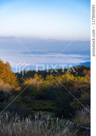 [Sea of clouds] Sea of clouds in the direction of the Northern Alps as seen from Takabocchi Plateau in autumn [Nagano Prefecture] 117809895