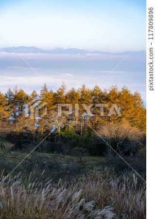 [Sea of clouds] Sea of clouds in the direction of the Northern Alps as seen from Takabocchi Plateau in autumn [Nagano Prefecture] 117809896
